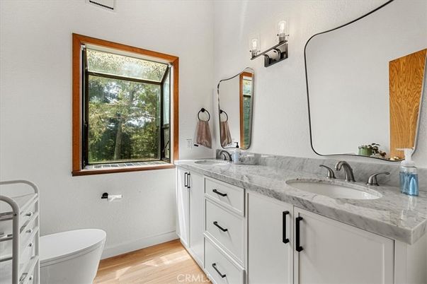 Bathroom, Dual Sink Vanities, Interior, Wood Texture Flooring