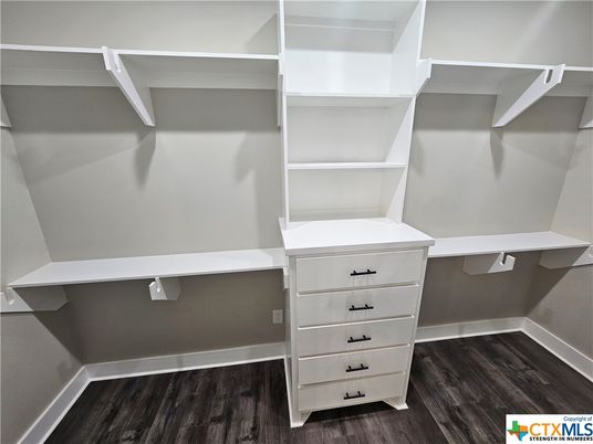 Interior, Walk-in Closets, Wood Texture Flooring