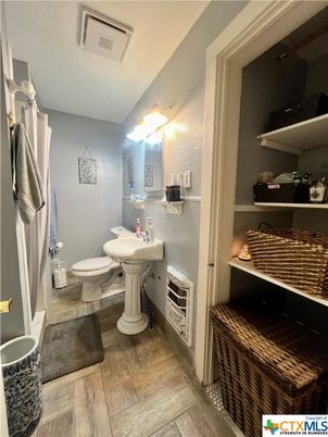 Bathroom, Interior, Wood Texture Flooring