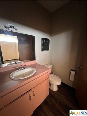Bathroom, Dual Sink Vanities, Interior, Wood Texture Flooring