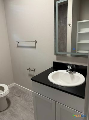 Bathroom, Interior, Wood Texture Flooring