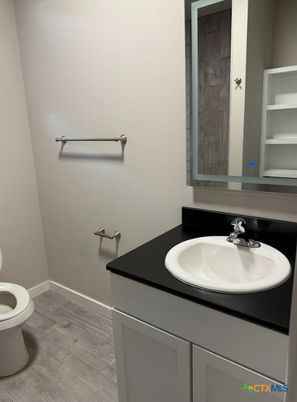 Bathroom, Interior, Wood Texture Flooring