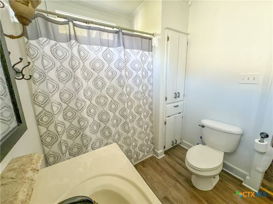 Bathroom, Interior, Wood Texture Flooring