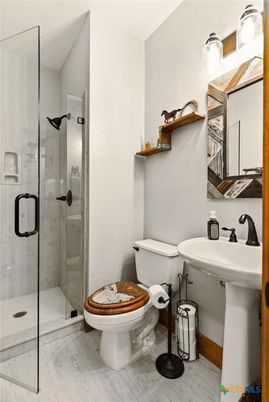 Bathroom, Glass Shower, Interior, Wood Texture Flooring
