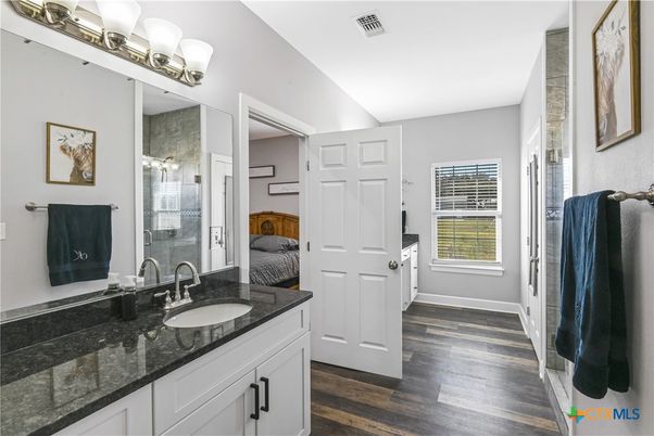 Bathroom, Dual Sink Vanities, Interior, Wood Texture Flooring
