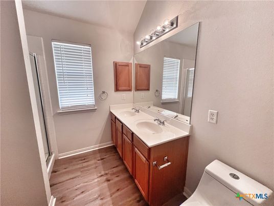 Bathroom, Dual Sink Vanities, Interior, Wood Texture Flooring