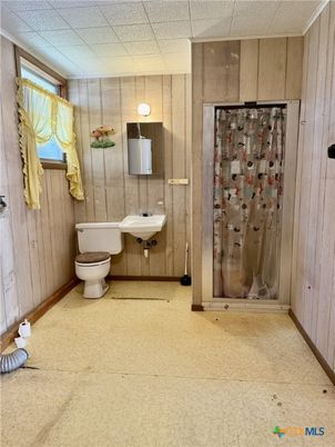 Bathroom, Interior, Wooden Walls
