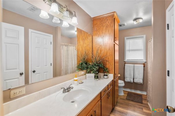 Bathroom, Interior, Wood Texture Flooring