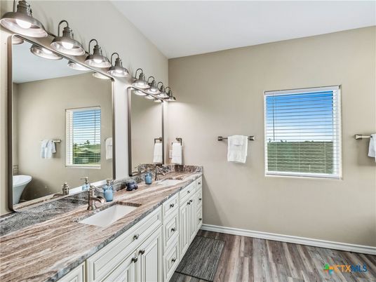 Bathroom, Dual Sink Vanities, Interior, Wood Texture Flooring
