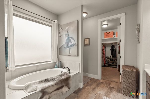 Bathroom, Interior, Walk-in Closets, Wood Texture Flooring