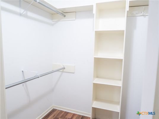 Interior, Walk-in Closets, Wood Texture Flooring
