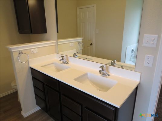 Bathroom, Dual Sink Vanities, Interior, Wood Texture Flooring