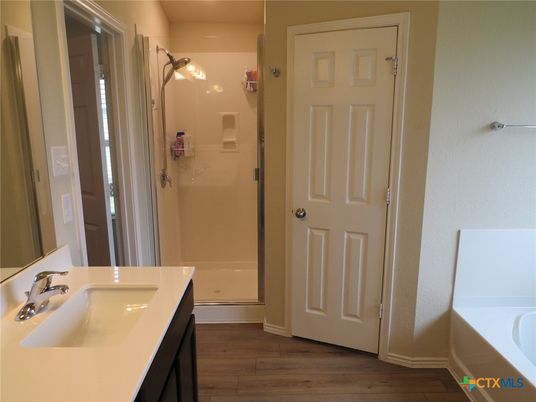 Bathroom, Dual Sink Vanities, Interior, Wood Texture Flooring