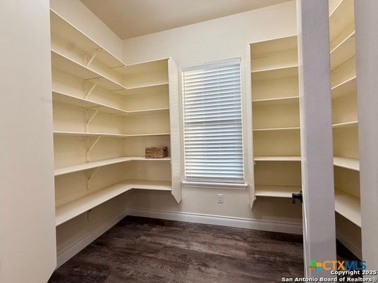 Interior, Walk-in Closets, Wood Texture Flooring