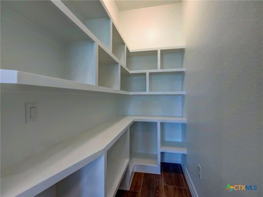 Interior, Walk-in Closets, Wood Texture Flooring