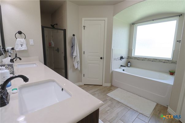 Bathroom, Dual Sink Vanities, Interior, Wood Texture Flooring