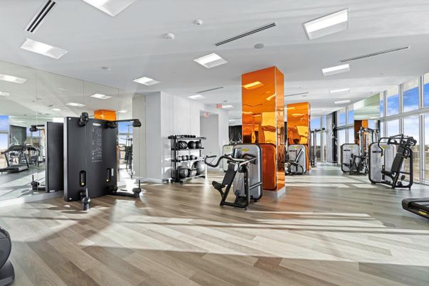 Fitness Equipment, Gym, Interior, Recessed Lighting, Wood Texture Flooring