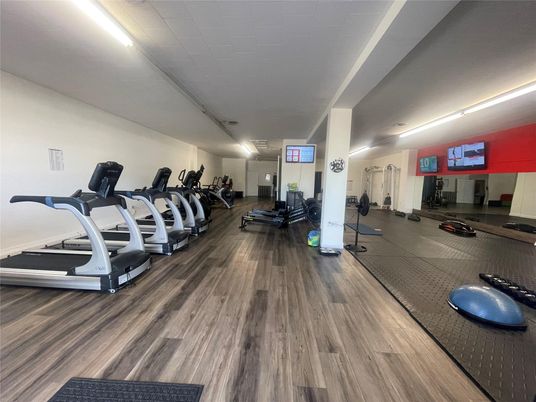 Fitness Equipment, Gym, Interior, Wood Texture Flooring