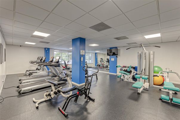 Fitness Equipment, Gym, Interior, Recessed Lighting