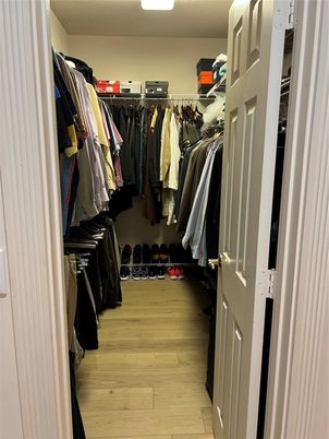 Interior, Walk-in Closets, Wood Texture Flooring