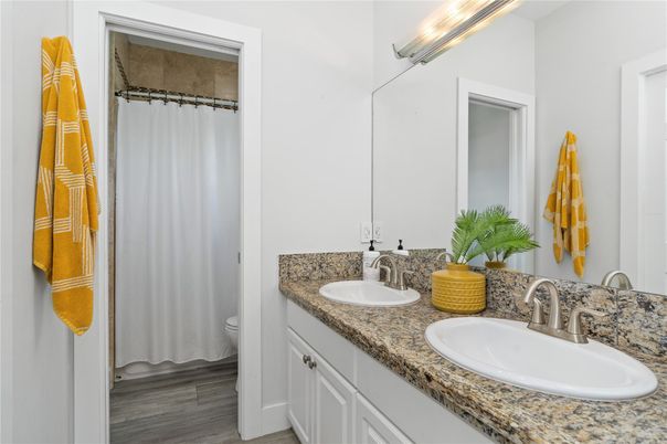 Bathroom, Dual Sink Vanities, Interior, Wood Texture Flooring
