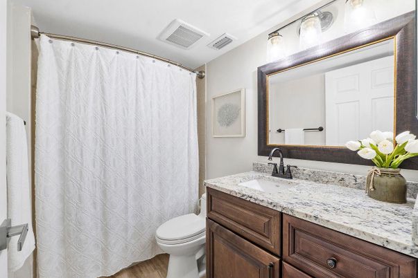 Bathroom, Interior, Wood Texture Flooring