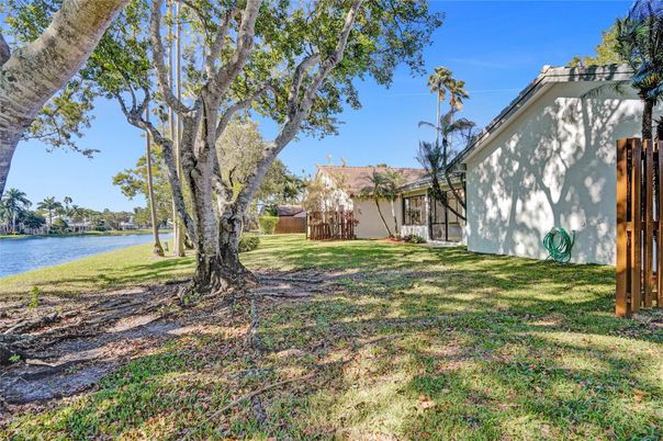 Backyard, Exterior, Water