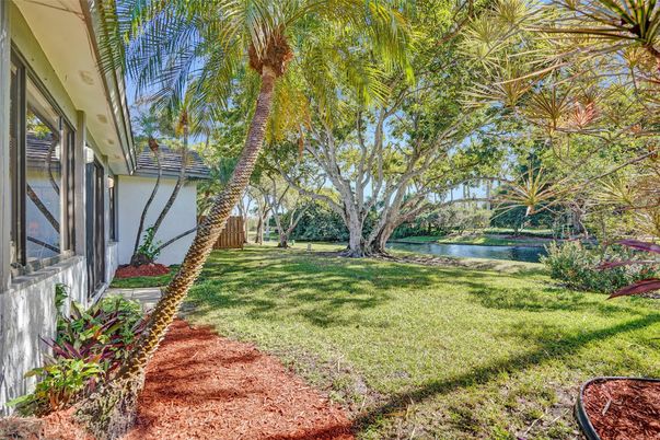 Backyard, Exterior, Water
