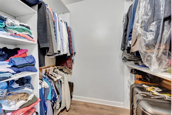 Interior, Walk-in Closets, Wood Texture Flooring