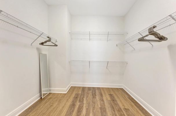 Interior, Walk-in Closets, Wood Texture Flooring