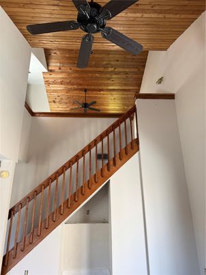 Interior, Wooden Ceilings