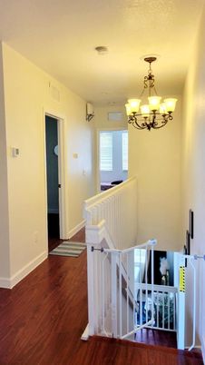 Chandelier, Interior, Wood Texture Flooring