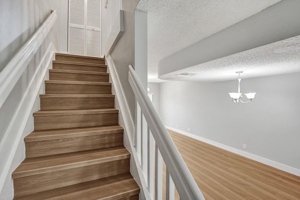 Chandelier, Interior, Wood Texture Flooring