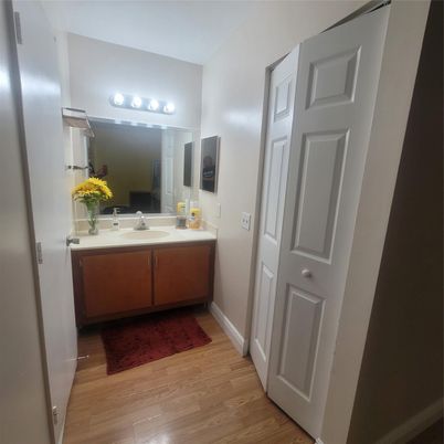 Bathroom, Dual Sink Vanities, Interior, Wood Texture Flooring