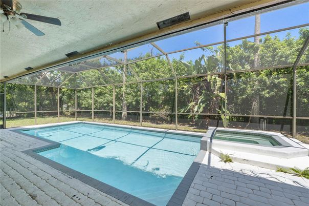 Glass Ceilings, Interior, Pool, Sun Room