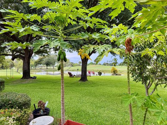 Backyard, Exterior, Water