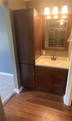 Bathroom, Interior, Wood Texture Flooring