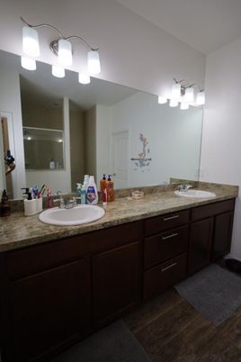 Bathroom, Dual Sink Vanities, Interior, Wood Texture Flooring