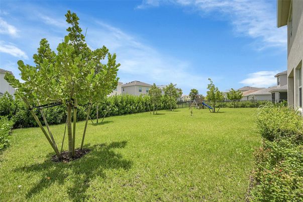 Backyard, Exterior, Playground