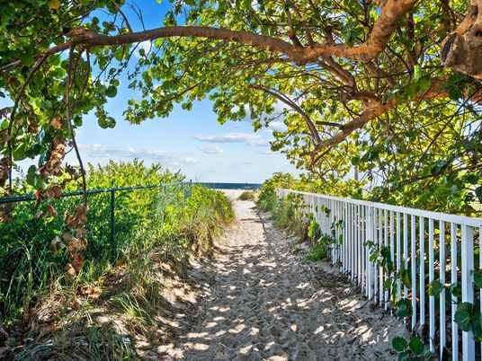 Backyard, Exterior, Water