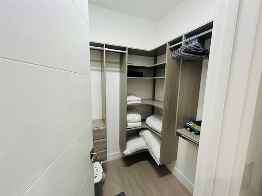 Interior, Walk-in Closets, Wood Texture Flooring