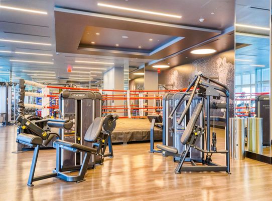 Fitness Equipment, Gym, Interior, Recessed Lighting, Wood Texture Flooring