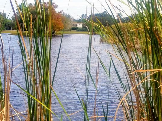 Exterior, Lake