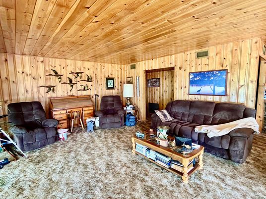 Interior, Living room, Wooden Ceilings, Wooden Walls