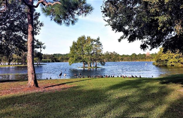 Exterior, Lake