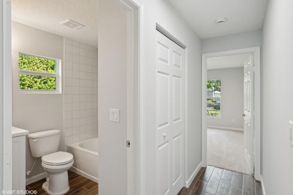 Bathroom, Interior, Wood Texture Flooring