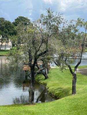 Exterior, Lake