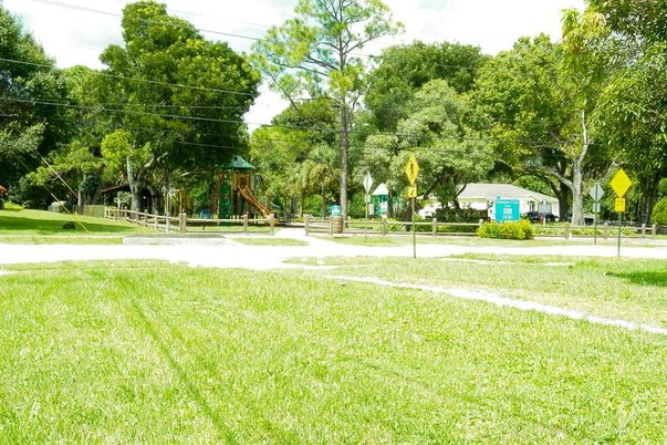 Backyard, Exterior, Playground