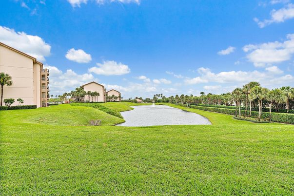 Backyard, Exterior, Water