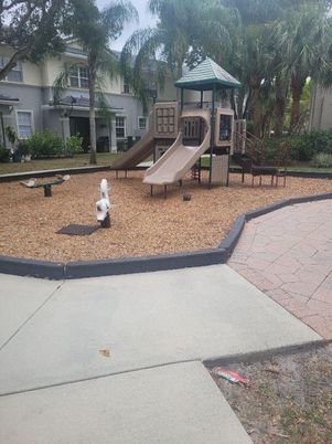Backyard, Exterior, Playground